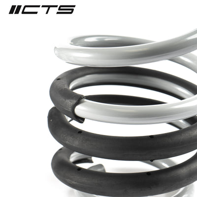 CTS Turbo B8/B8.5 Audi A4/S4 Lowering Spring Set